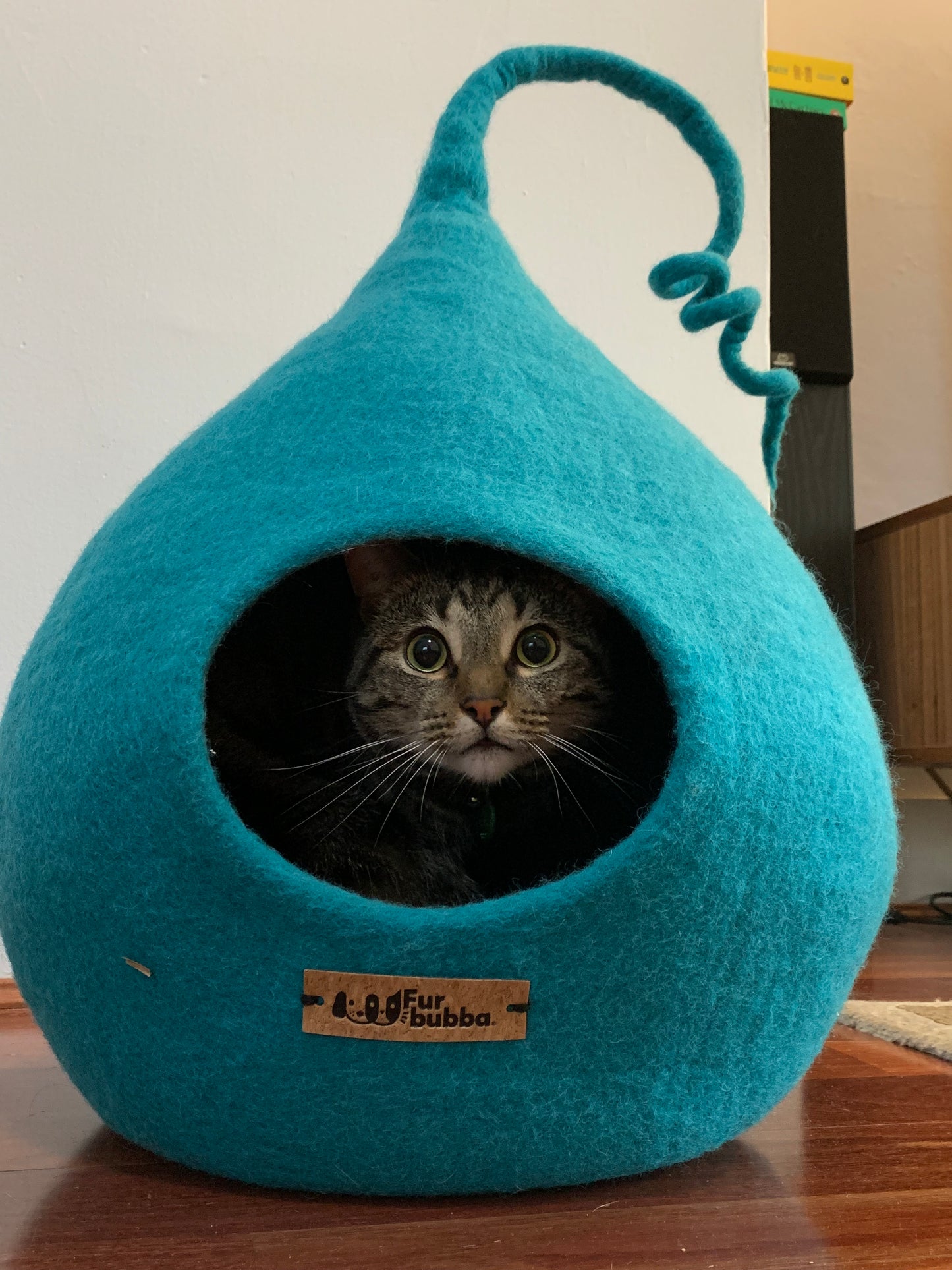 Blue Cat Bed - Cat with big eyes peeking out