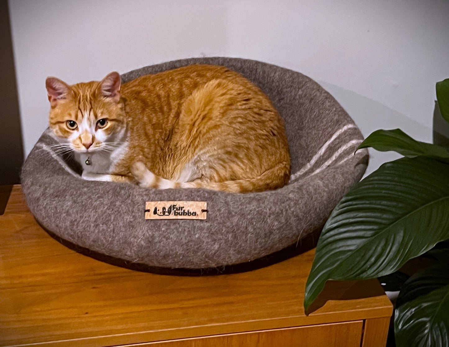 Ginger cat enjoyin an all Season cat bed that doubles as a cat nest and cat cave.