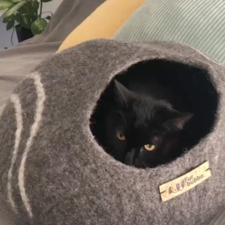 Sooty the black cat, hiding in his cat bed, a Furbubba Cat Cave