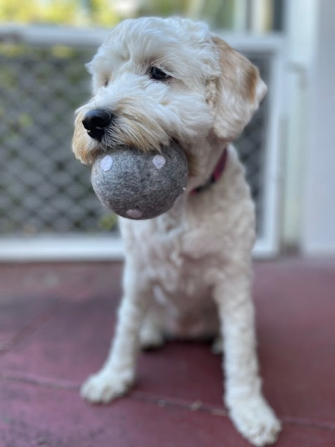 Dog Toys: Large 8cm Felt Balls (set of 2)