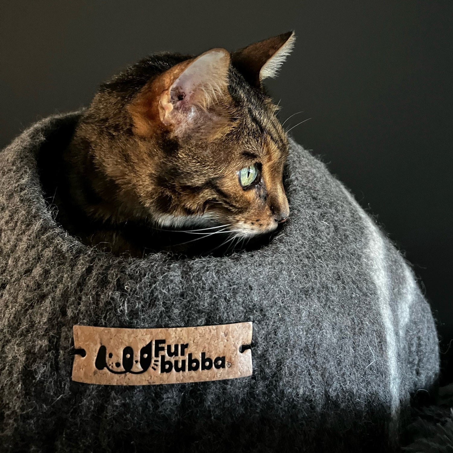 Oscar the Bengal Cat with striking green eyes, loving his new cat bed - a Furbubba Cat Cave